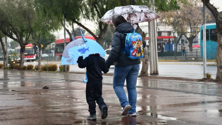 Sistema Frontal Suspensión De Clases