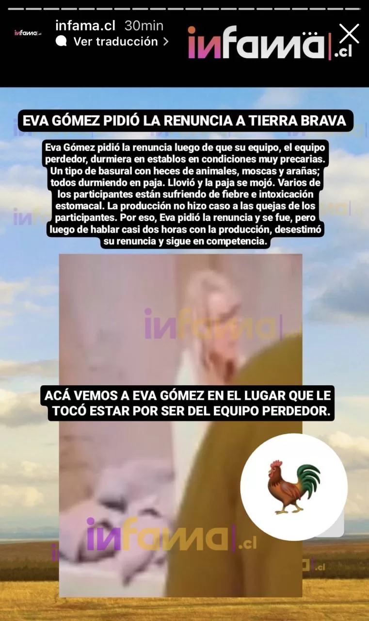Instagram Infama