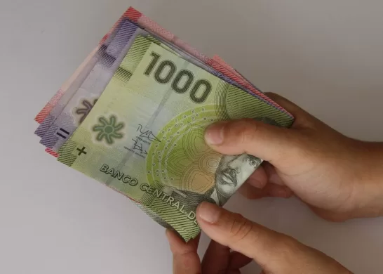 Bono Protección Dueña De Casa