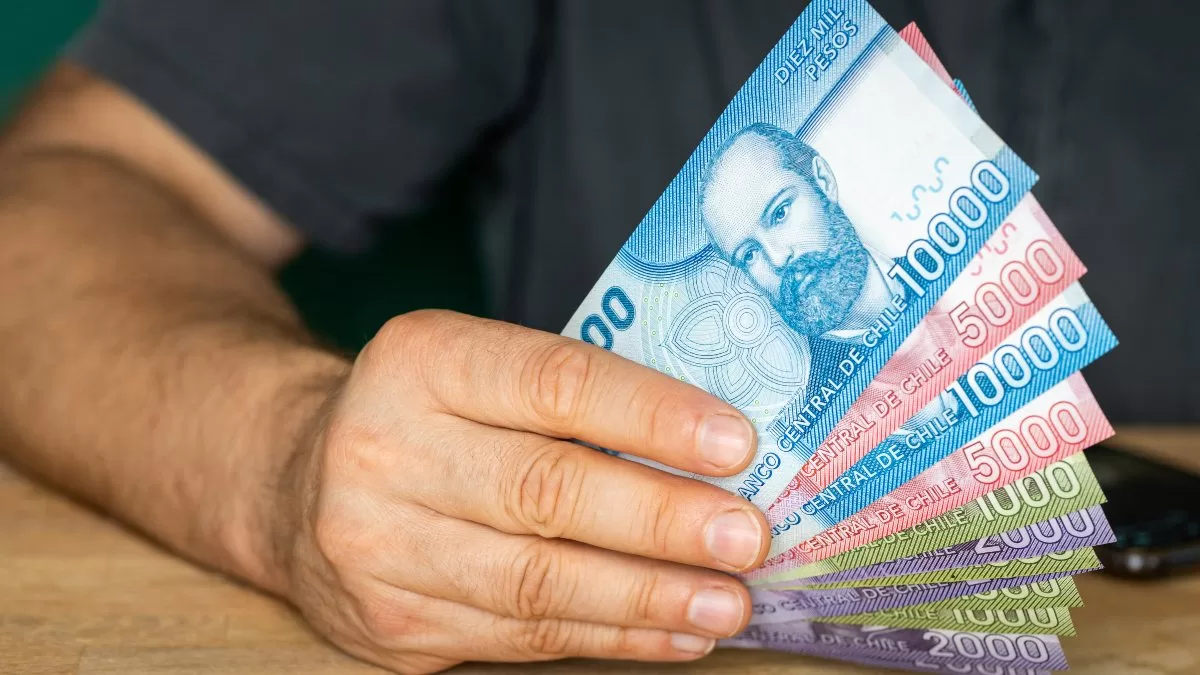 Bonos para cesantes 2023 consulta con tu RUT los beneficios que puedes