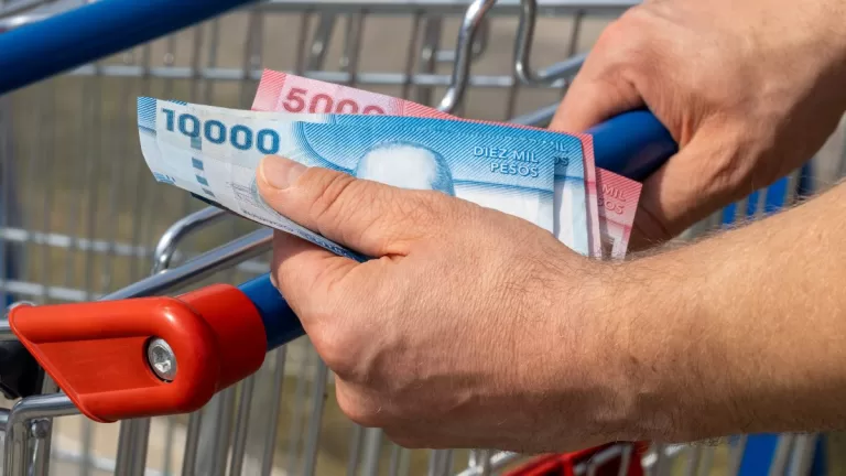 Bonos Para Dueñas De Casa
