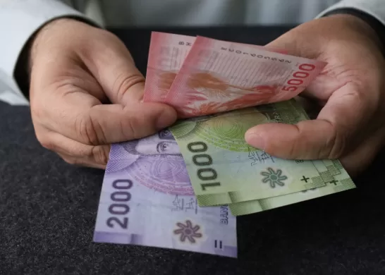 Bonos Y Beneficios Dueñas De Casa Chile