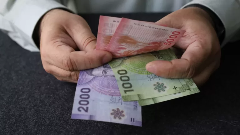 Bonos Y Beneficios Dueñas De Casa Chile