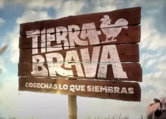 Tierra Brava Futuros Participantes