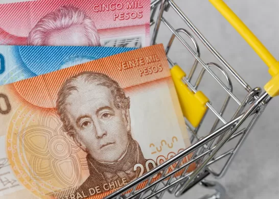 Beneficios Y Bonos De Protección Para Dueñas De Casa