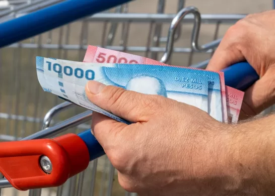 Bono De Protección Dueñas De Casa 2023