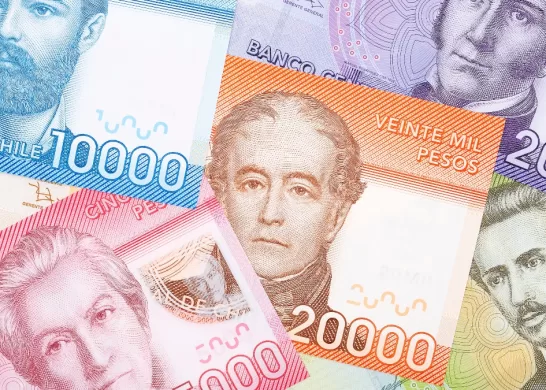 Bono De Protección Dueñas De Casa 2023 Chile (1)