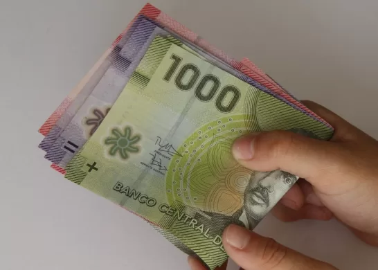 Bono De Protección Dueñas De Casa 2023 Chile