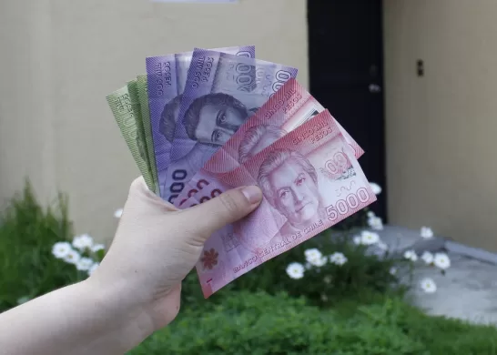 Bono De Protección Para Dueñas De Casa