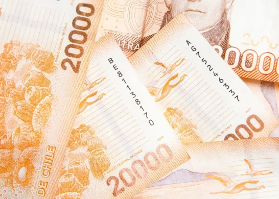 Bono De Protección Para Dueñas De Casa En Chile