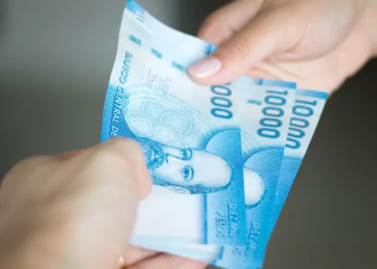 Bono De Protección Y Dueñas De Casa 2023 Chile