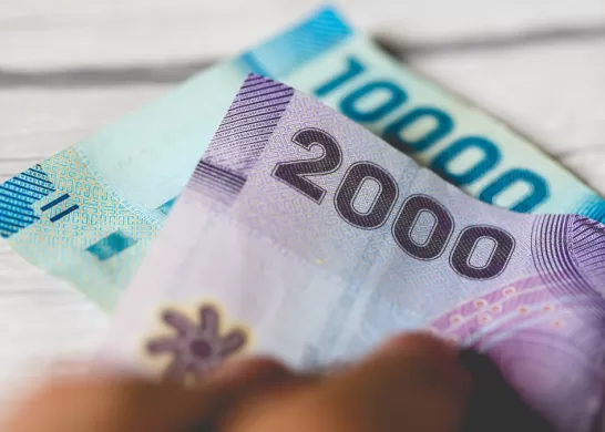 Bonos Beneficios Para Cesantes Chile