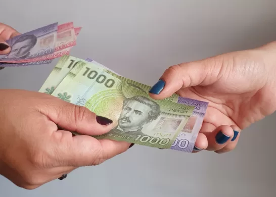 Bonos Dueñas De Casa Y Beneficios Chile 2023