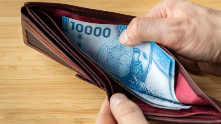 Bonos Para Cesantes Y Beneficios En Chile
