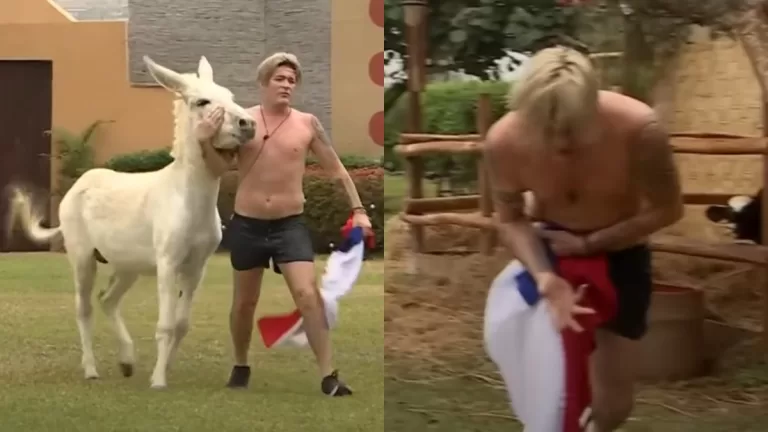 Junior Playboy Burro Tierra Brava