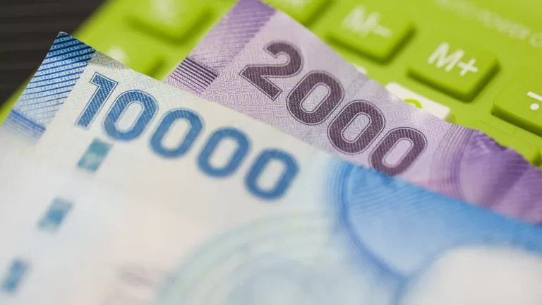 Beneficios Y Bonos Dueñas De Casa En Chile