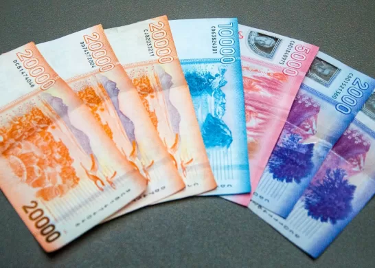 Bono De Proteccion Para Dueñas De Casa 21 Noviembre