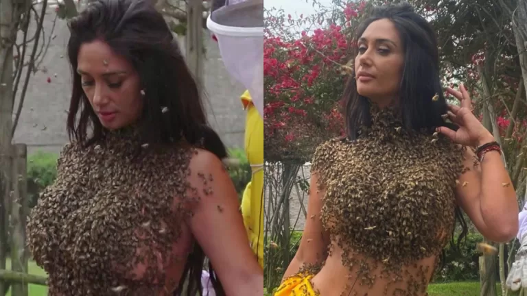 Pamela Díaz Abejas Tierra Brava