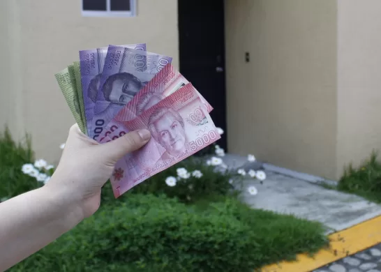 Bono De Protección (1)