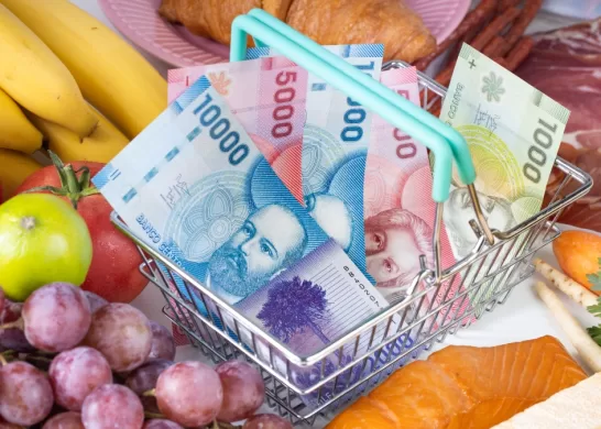 Bono De Protección (1)