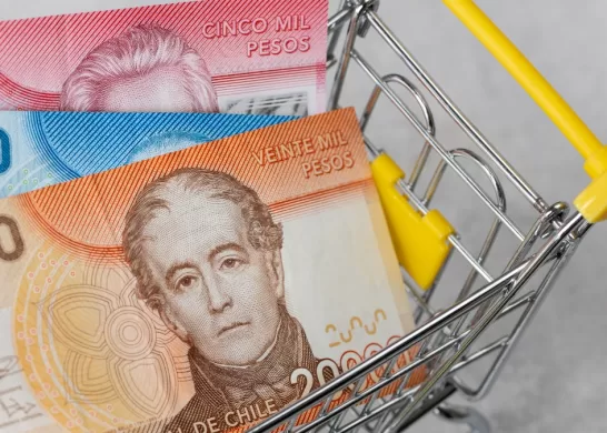 Bono De Protección (3)