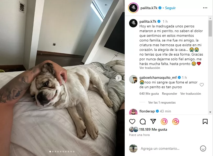 Instagram Pailita