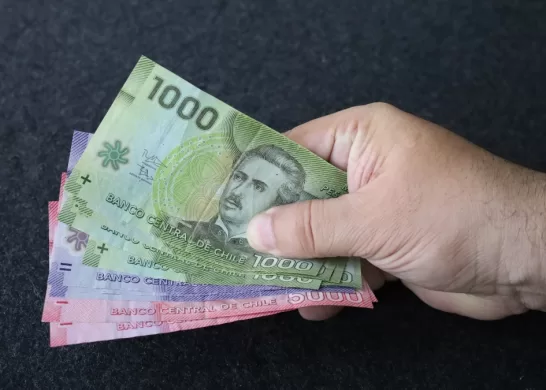 Bono De Protecció Para Dueñas De Casa 20 Diciembre