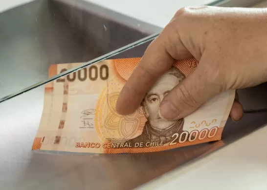 Bono De Protección Para Dueñas De Casa 1 Diciembre