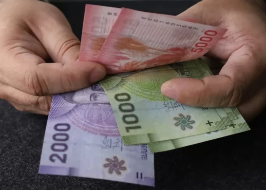 Bono De Protección Para Dueñas De Casa 15 Dic