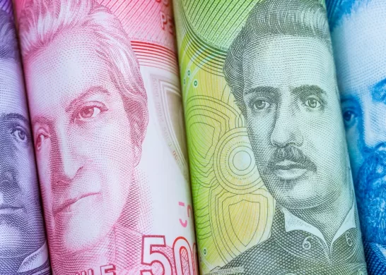 Bono De Protección Para Dueñas De Casa 4 Diciembre