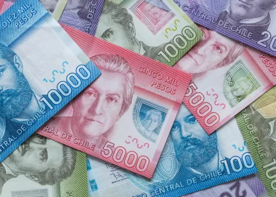 Bono De Protección Para Dueñas De Casa 6 Diciembre