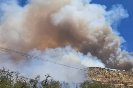 Incendio En Curacaví Humo