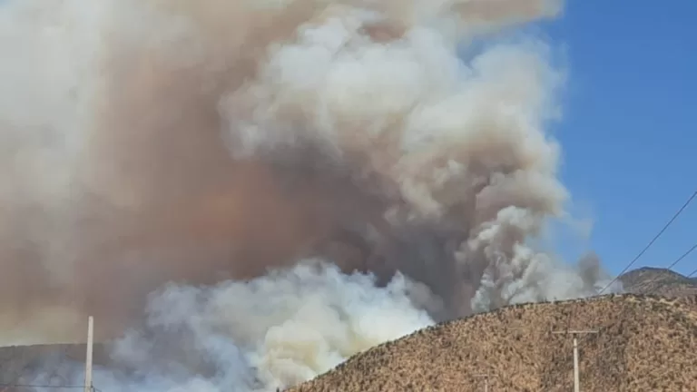 Incendio Forestal Curacaví