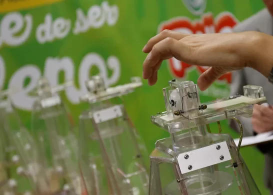 La Suerte En Chile Fechas Y Premios