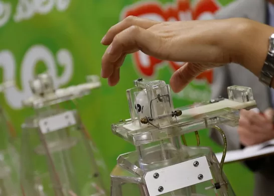 La Suerte En Chile Ganadores 20 Diciembre