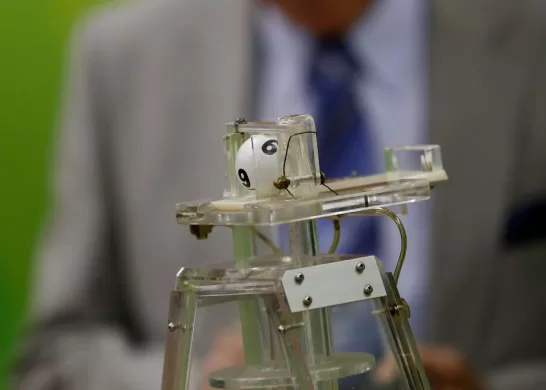 La Suerte En Chile Horario