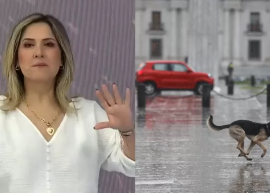 Michelle Adam Lluvia En Santiago Diciembre