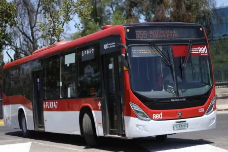 Buses RED