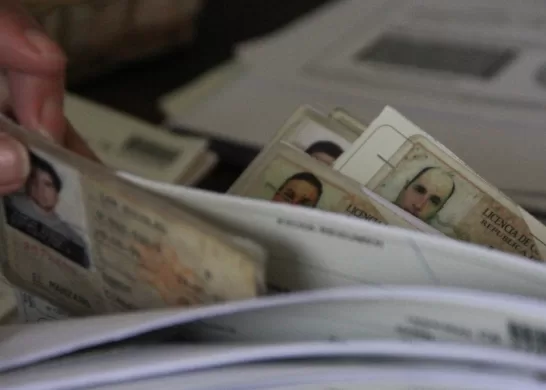 Licencias De Conducir