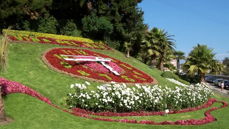 Viña Del Mar