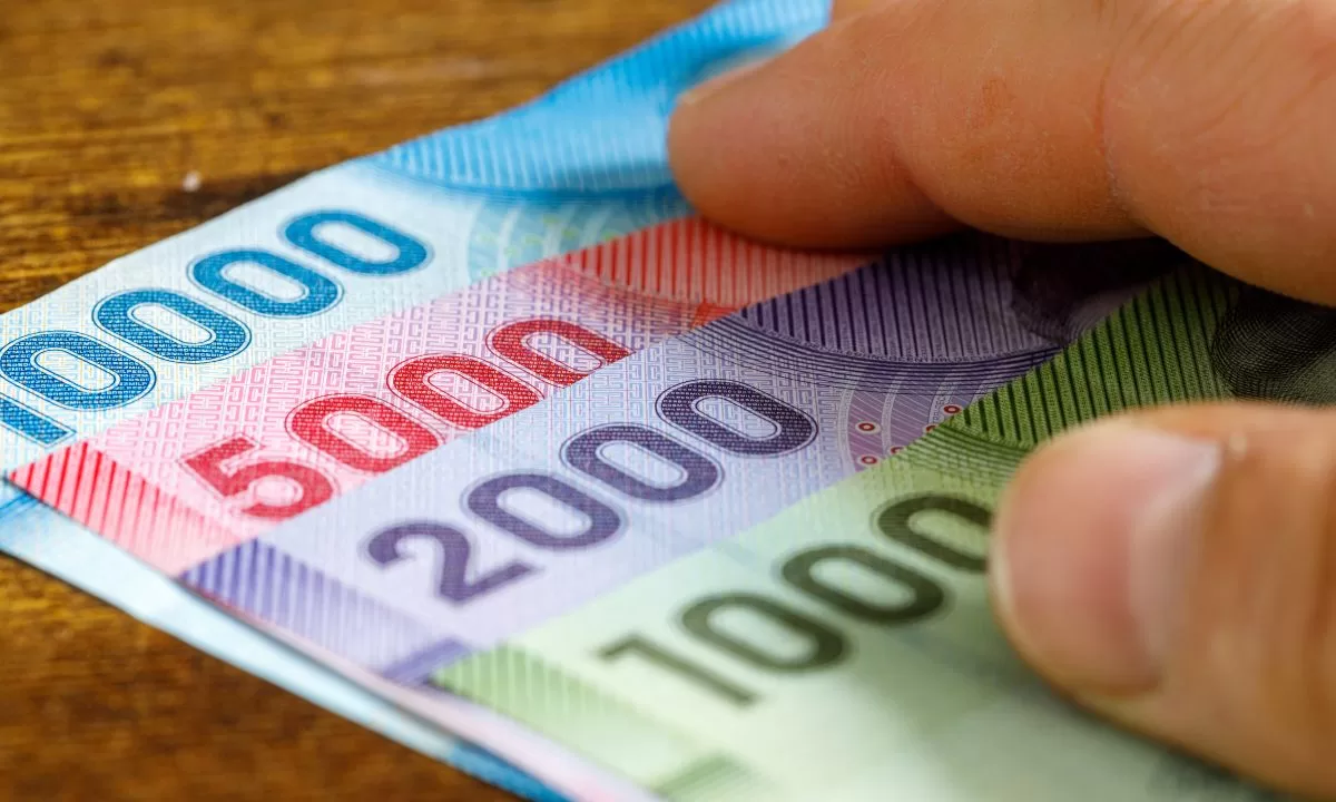 Bonos para cesantes 2024 consulta con tu RUT los beneficios que puedes