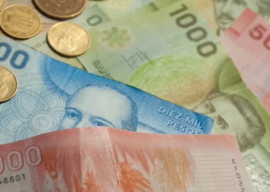 Bono De Protección 16 Enero