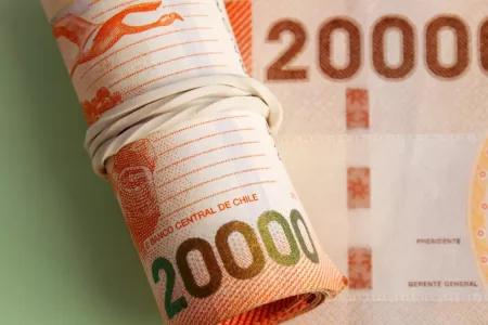 Bono De Protección 17 Enero