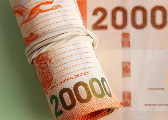 Bono De Protección 17 Enero