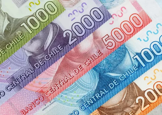 Bono De Protección 18 Enero