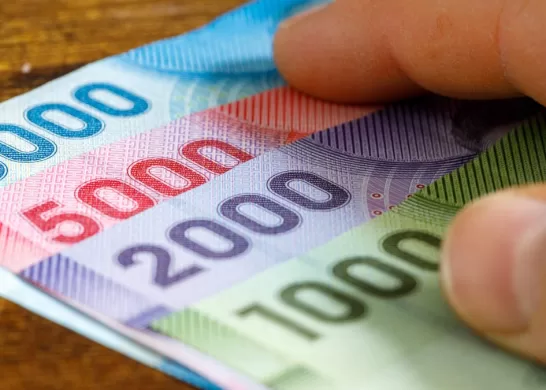 Bono De Protección 23 Enero