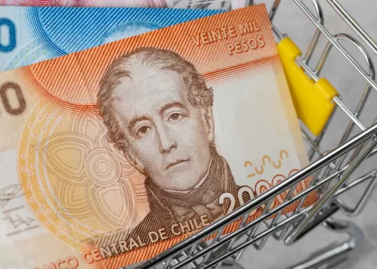 Bono De Protección Dueñas De Casa 8 Enero