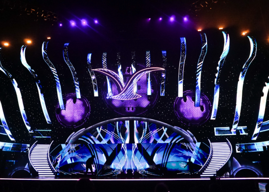 Festival De Viña 2024 Comediante