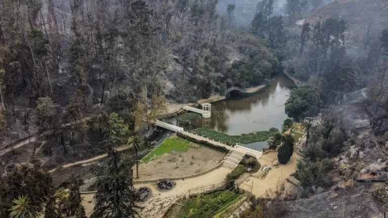 Jardin Botanico Incendio