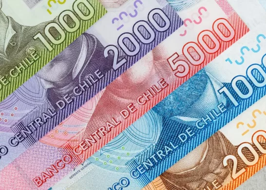 Bono De Protección 21 Febrero